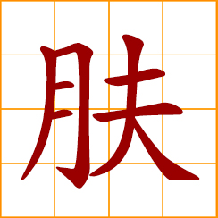 simplified Chinese symbol: skin, derma