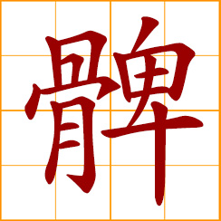 simplified Chinese symbol: bone, thighbone; hipbone; innominate bone