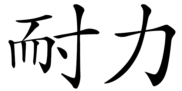Chinese word 耐力 durability; endurance