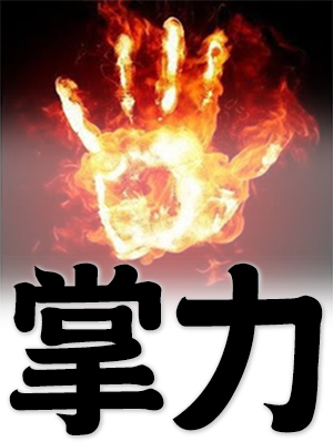 power of the palm of kung fu palm method