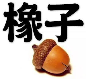 acorn