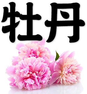 peony, mu dan