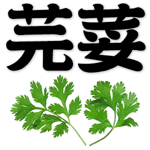 coriander