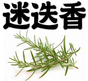 Rosemary in chinese
