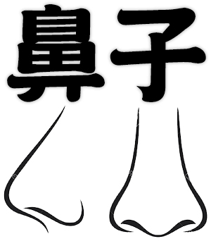 nose