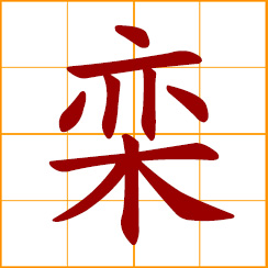 simplified Chinese symbol: flamegold tree, Taiwanese rain tree