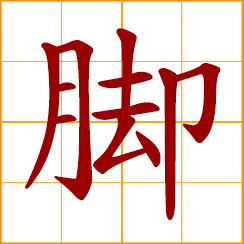 simplified Chinese symbol: foot, feet; leg or base of something