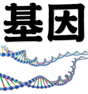 gene, DNA