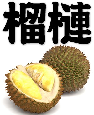 durian, Durio zibethinus