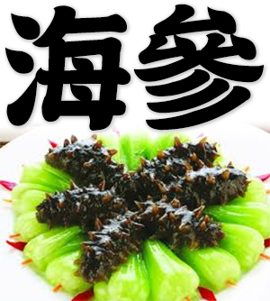 sea cucumber, trepang