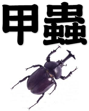 beetle