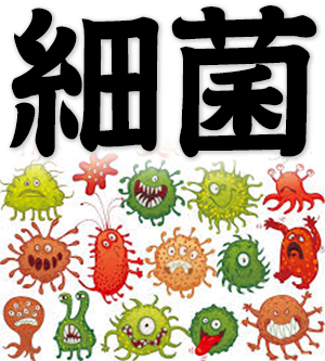 germs, bacteria