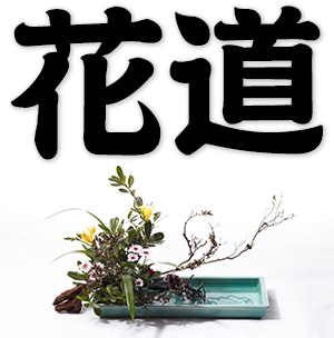 ikebana, Japanese flower arrangement