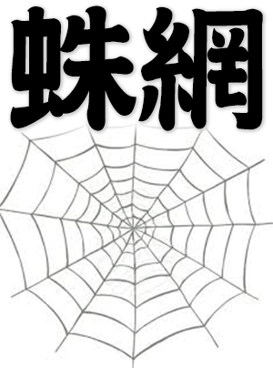 web, cobweb, spider web