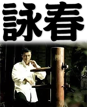 Wing Chun, Chinese martial art