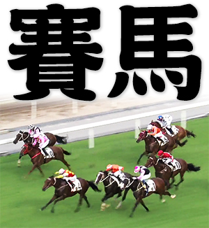 horse racing, a racing horse