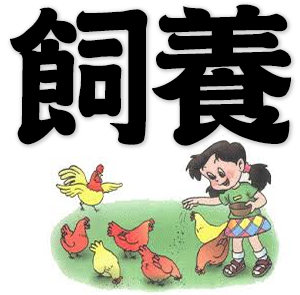 feeding animal, raising animal, to rear, breed pet, animal