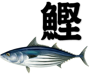 bonito, skipjack, oceanic bonito, skipjack