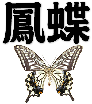 papilio, swallow-tail, swallowtail butterfly
