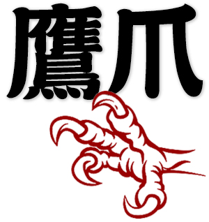 eagle claw, claws of hawk, talons of falcon