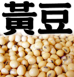 soybean, soya bean
